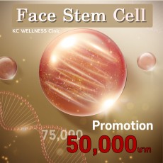 Face Stem Cell