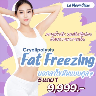 สลายไขมัน Fat Freezing