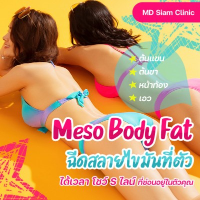 Meso Body Fat ฉีดสลายไขมันที่ตัว